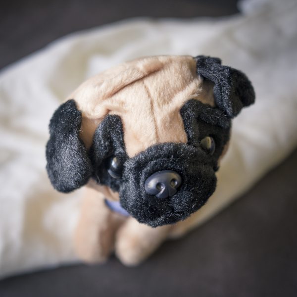 Pug Gifts | www.pugpatrolrescueaustralia.com.au