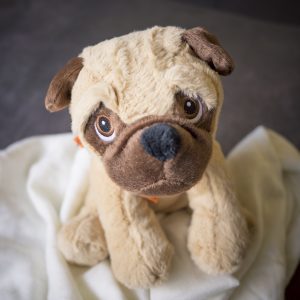 Pug Gifts | www.pugpatrolrescueaustralia.com.au