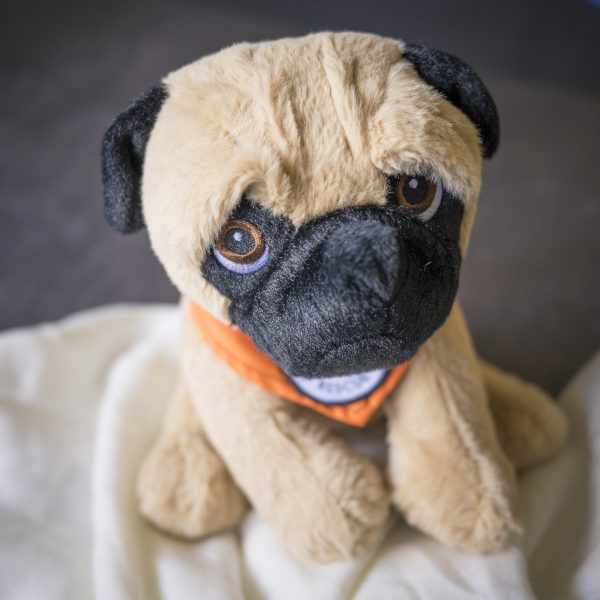 Pug Gifts | www.pugpatrolrescueaustralia.com.au