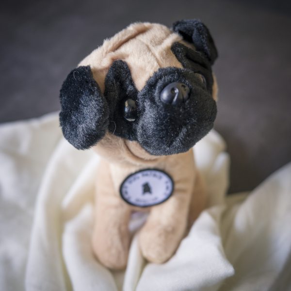 Pug Gifts | www.pugpatrolrescueaustralia.com.au